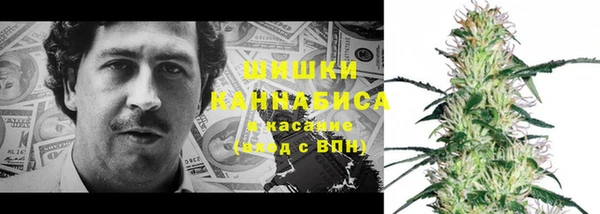 дмт Медногорск