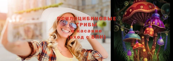 дмт Медногорск