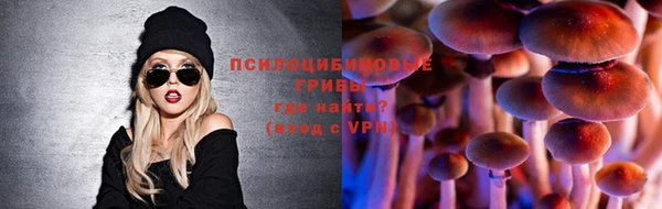 дмт Медногорск