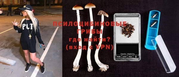 а пвп мука Медвежьегорск