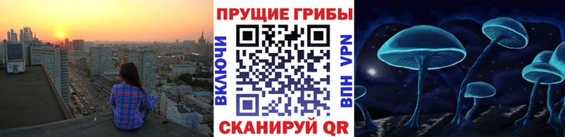 Купить Кубинка Псилоцибиновые грибы GOLDEN TEACHER