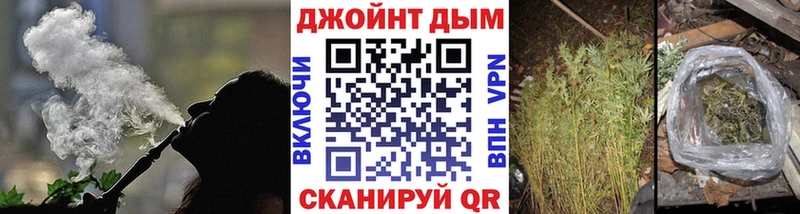Канабис ГИДРОПОН  Купить где  Кубинка 